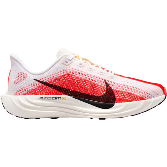 Nike Pegasus Plus Herre