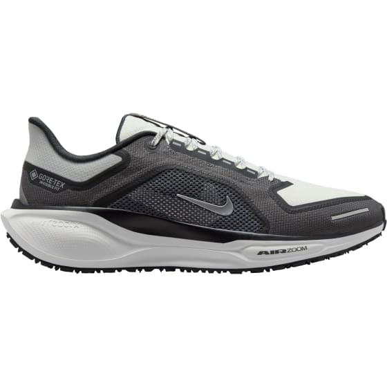 Nike Nike Pegasus 41 GORE-TEX Herre Løpesko