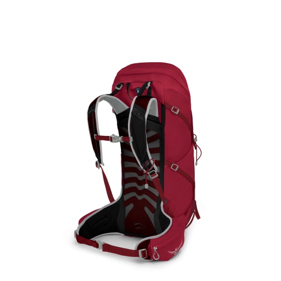 Osprey Talon 36