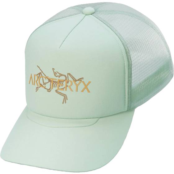 Arc'teryx Bird Word Trucker Hat