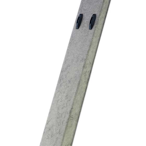 Åsnes Amundsen BC Ski