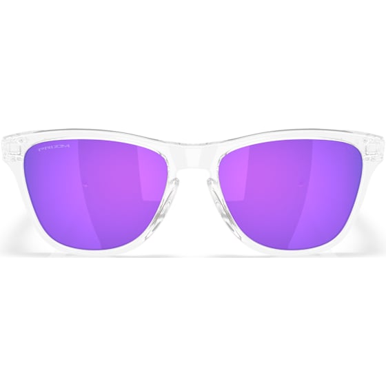 Oakley Frogskins S
