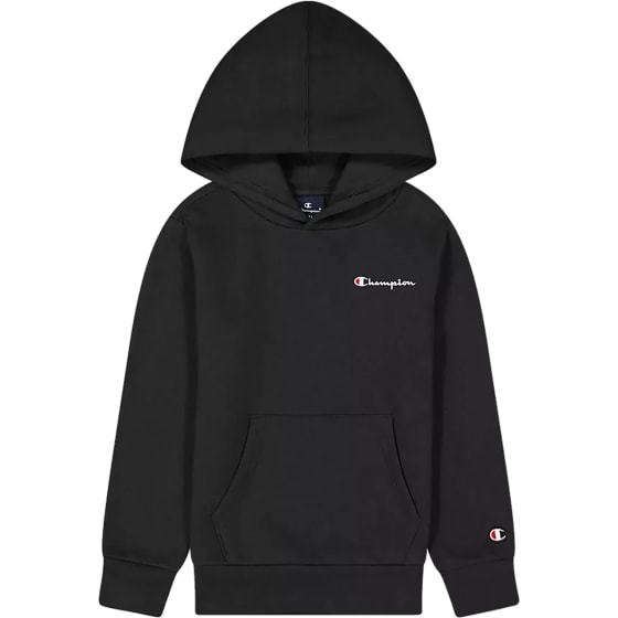 Champion Hooded Sweatshirt AMC Small logo Gutt