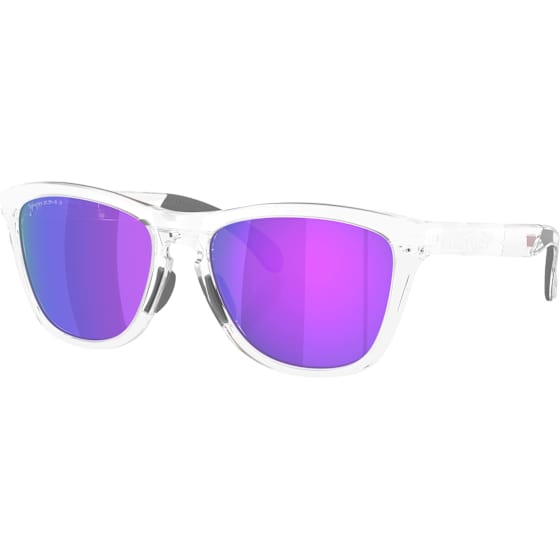 Oakley Frogskins Range XL