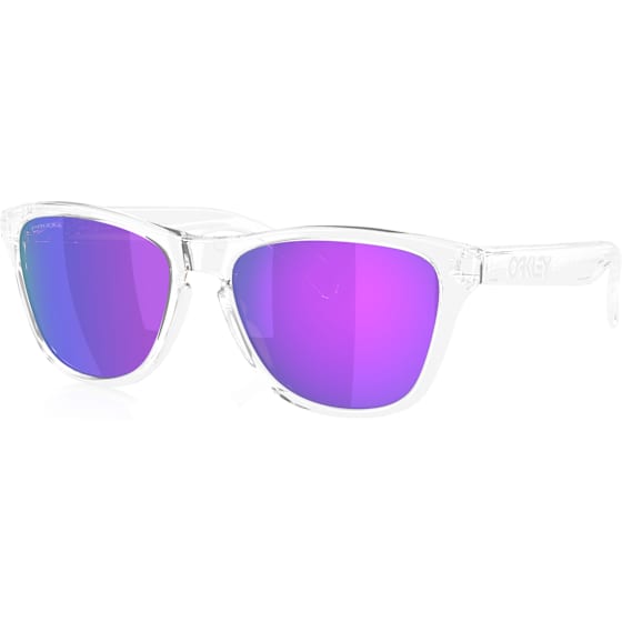 Oakley Frogskins S