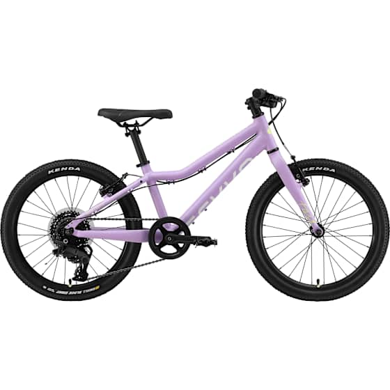 Gekko Fast 20