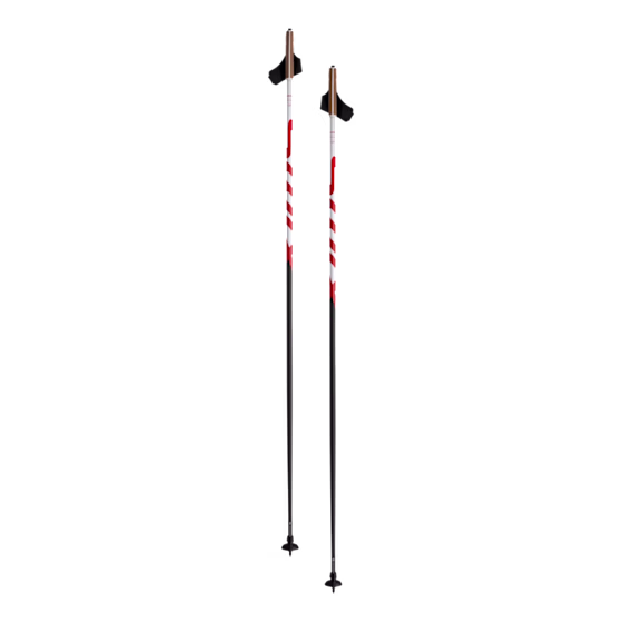 Swix Q1 Pole