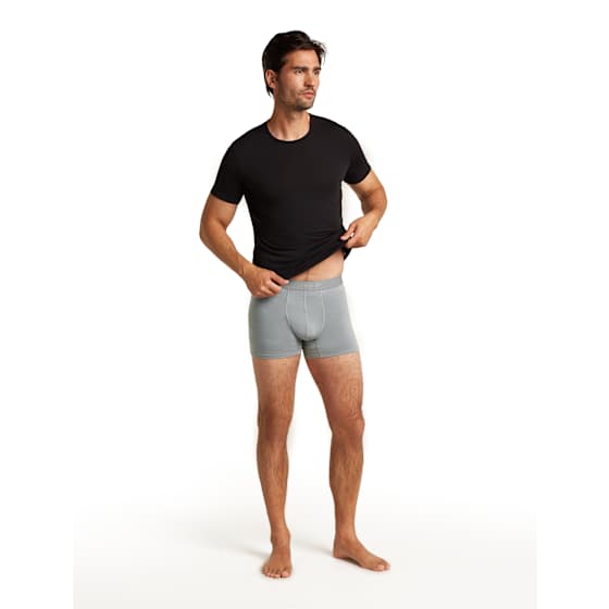 Icebreaker Merino Blend 125 ZoneKnit Herre