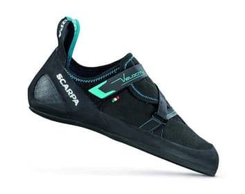 Velocity Ms