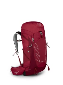Talon 33