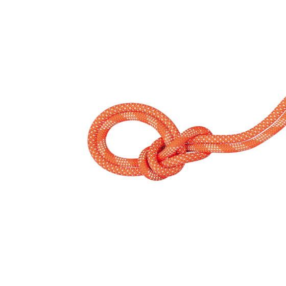 9.8 Crag Classic Rope