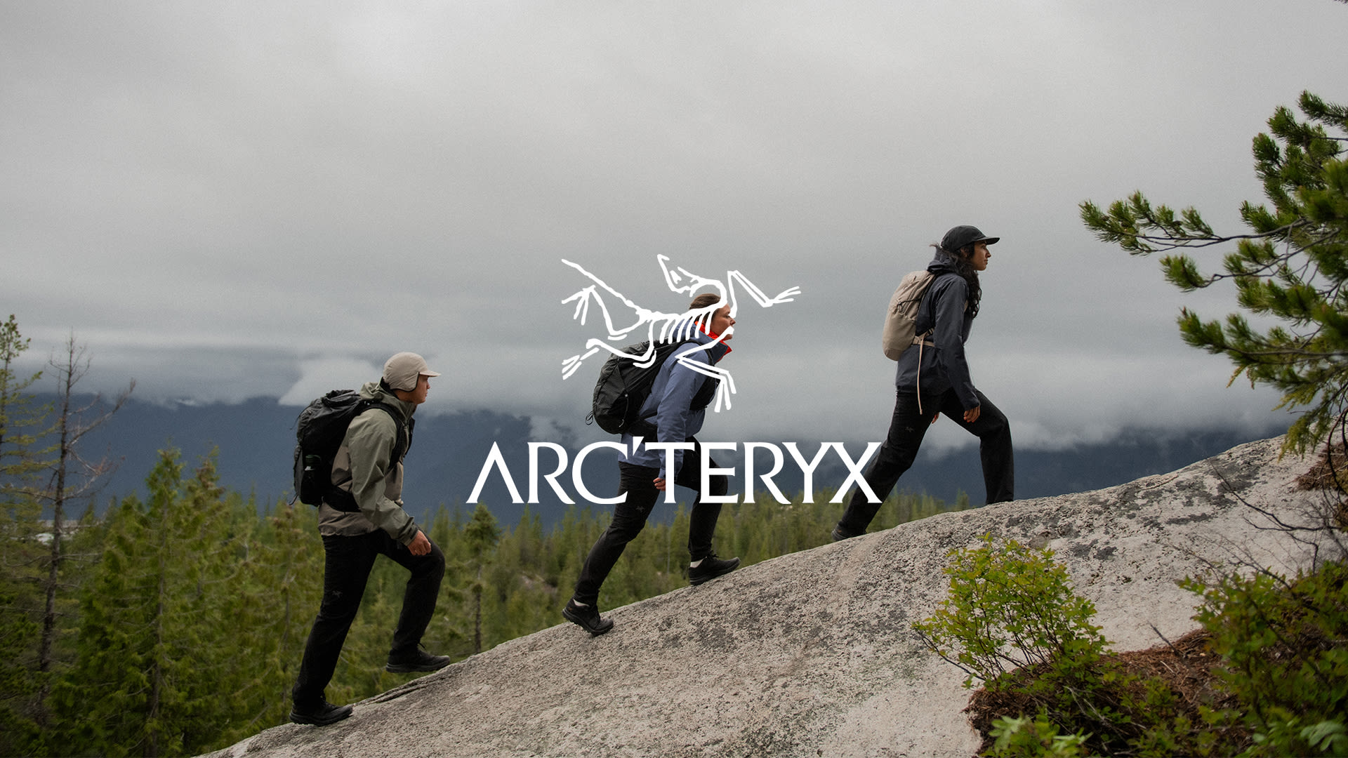 Arcteryx uke 39