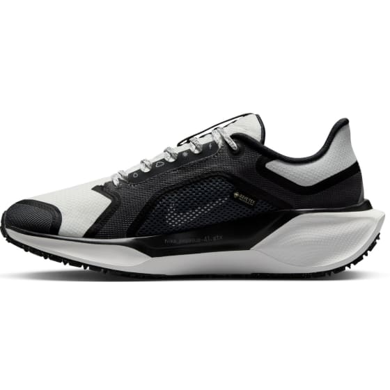 Nike Nike Pegasus 41 GORE-TEX Dame