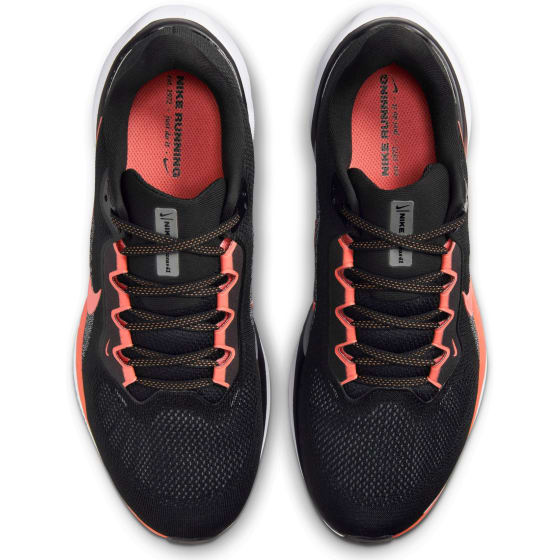 Nike Pegasus 41 Herre