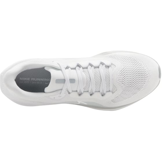 Nike Pegasus 41 Herre