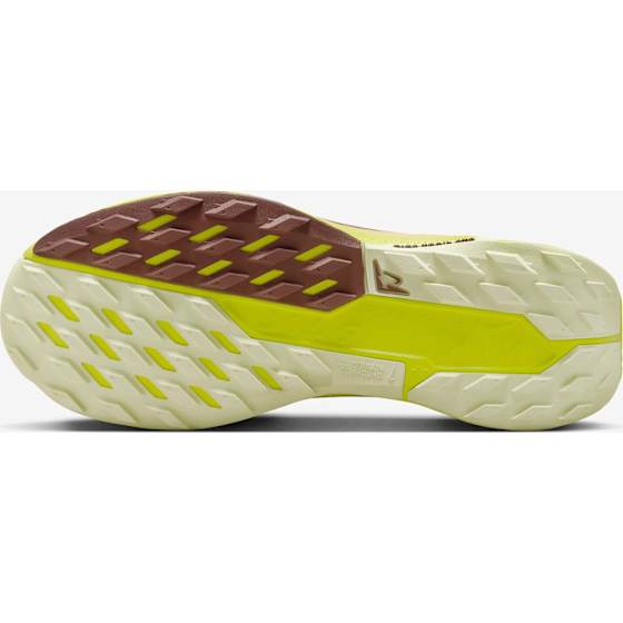 Nike Pegasus Trail 5 GTX Dame