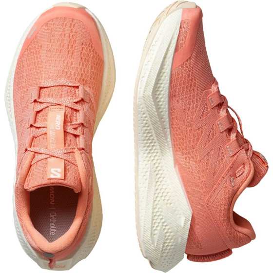 Salomon Aero Glide 3 Dame