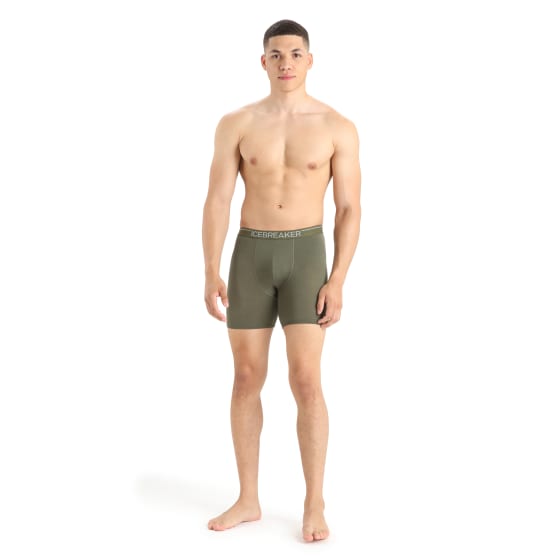 Icebreaker Anatomica Long Boxers Herre
