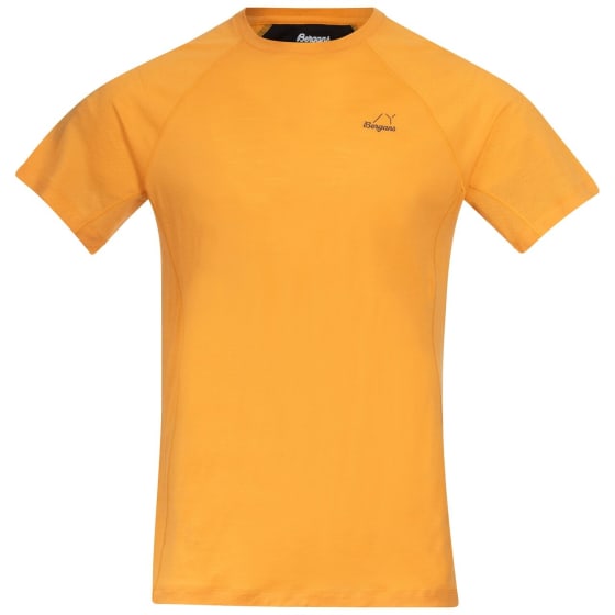 Bergans of Norway Y LightLine Merino Tee Herre