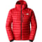 TNF RED