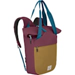 Allium Red/Brindle Brown