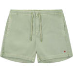 402 Faded Willow Green