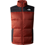 Brandy Brown/TNF Black