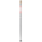 Quantum Q1 pole