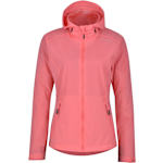 Sunkist Coral