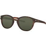 2253/MATTE BROWN TORTOISE
