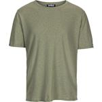 407/Olive Ash