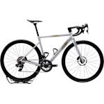 White/Bone