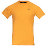 Mango Yellow