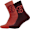 CORAL/PORT