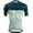Dusgrønn 