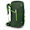 Green Canopy/Limeline Green