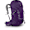 Violac Purple