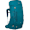 Blue Spikemoss/Deep Peyto