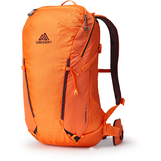 Targhee FT 24