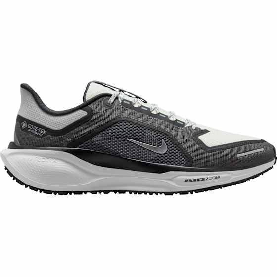 Pegasus 41 GORE-TEX Herre