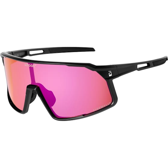 Renegade Sunglasses
