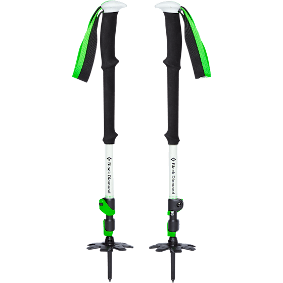Expedition 3 Ski Poles