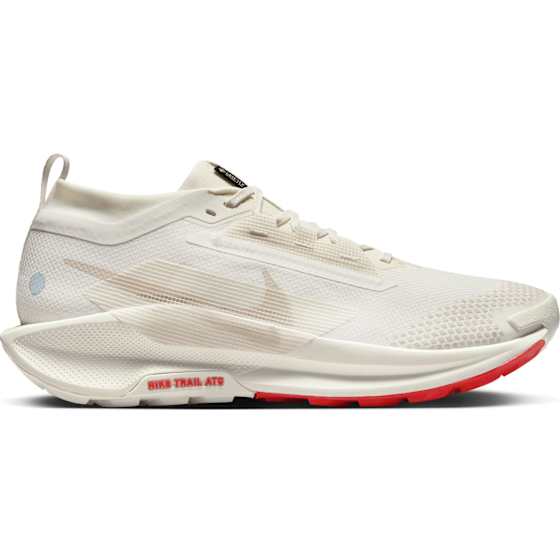 Pegasus Trail 5 GTX Herre