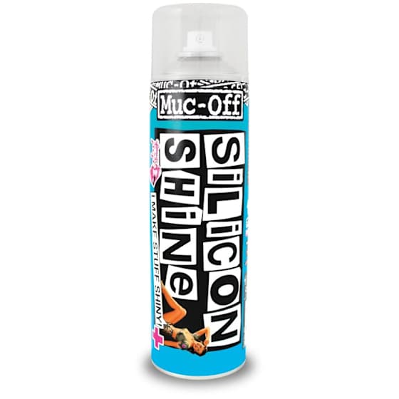 Silicon Shine