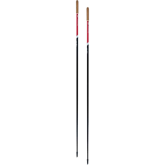 Roadline 1 pole