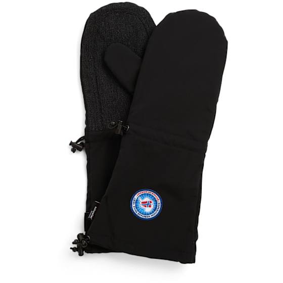 Expedition Mittens 2.0