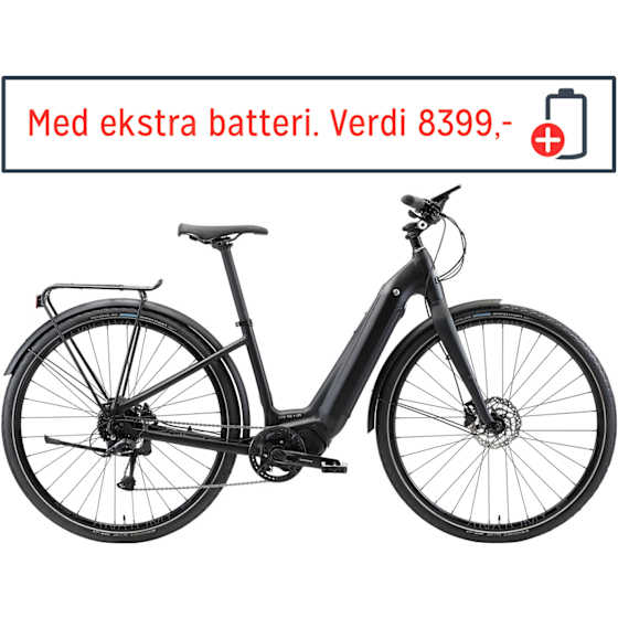 Netto TRG ION Low