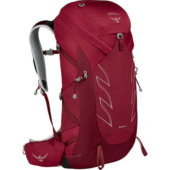 Talon 36