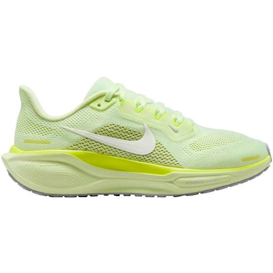 Air Zoom Pegasus 41 Dame