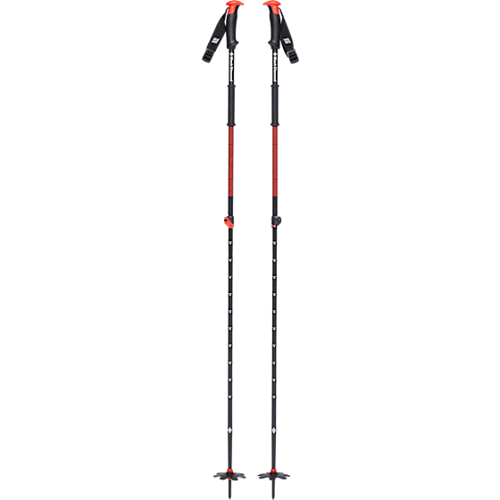 Traverse Ski Poles